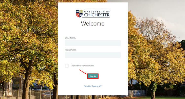 chichester moodle login