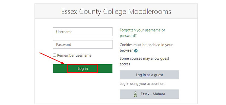 essex county college moodle login